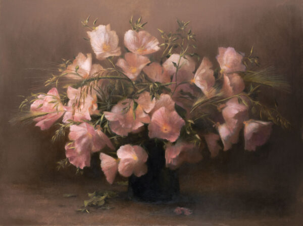 Oenothera - 2020